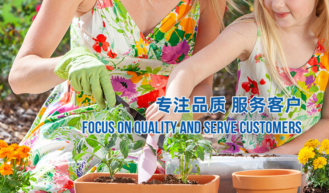 服務(wù)網(wǎng)絡(luò) 服務(wù)網(wǎng)絡(luò)